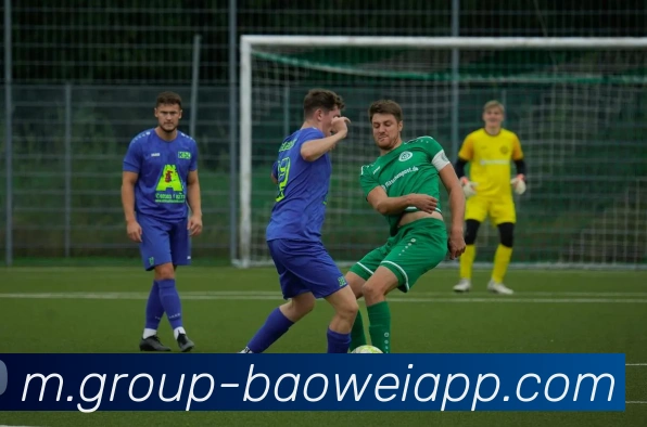 宝威体育平台生态图