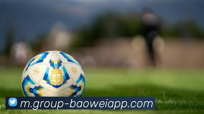 宝威体育APP 封面图